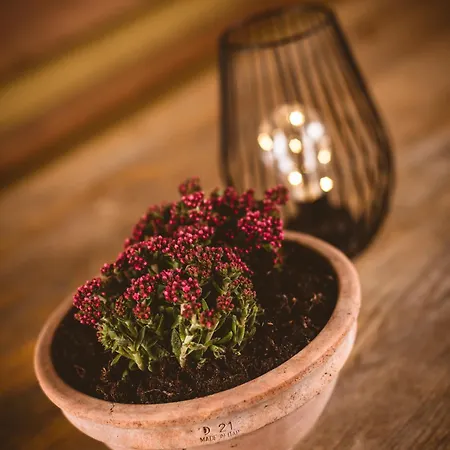 Pocitniska Hisa Car *