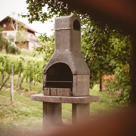 Pocitniska Hisa Car Дом отдыха *