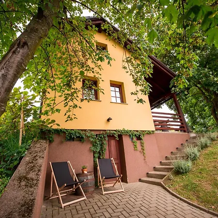 Дом отдыха Pocitniska Hisa Car Добровник